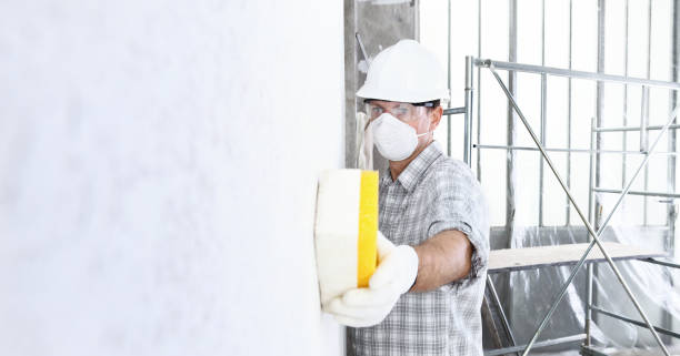 Mold Remediation for Vacation Homes in Nederland, TX