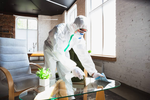 Why You Should Choose Our Mold Remediation Services in Nederland, TX