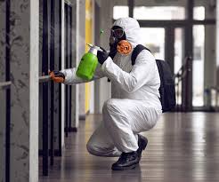 Professional Mold Inspection in Nederland, TX